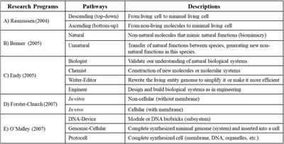 Epistemology of synthetic biology: a new theoretical framework based on its potential objects and objectives